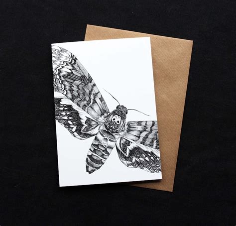 Discover the Mysteries of Moths with a Magical Card